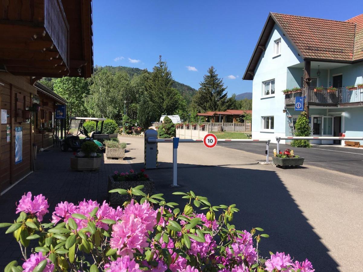 Flower Camping Les Bouleaux 호텔 Ranspach 외부 사진